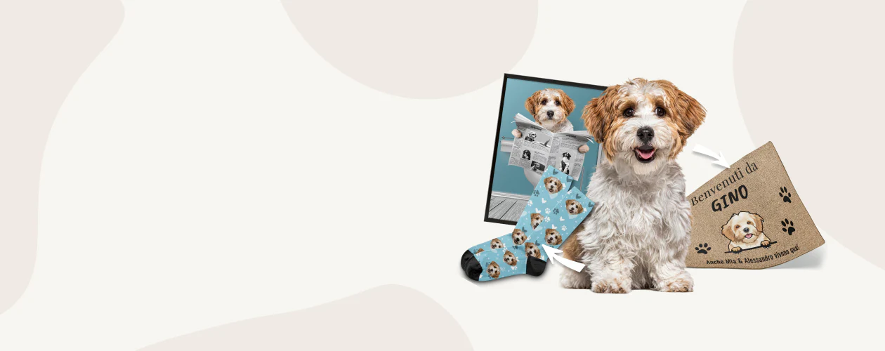 Il tuo pet diventa arte